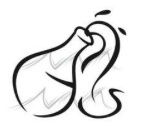 周运6.18~6.24｜素弦声断，翠绡香减，那堪片片飞花弄晚？