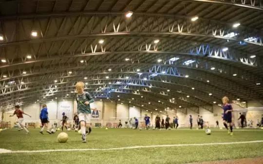 2018年冰岛足球队成绩,冰岛队历届世界杯排名