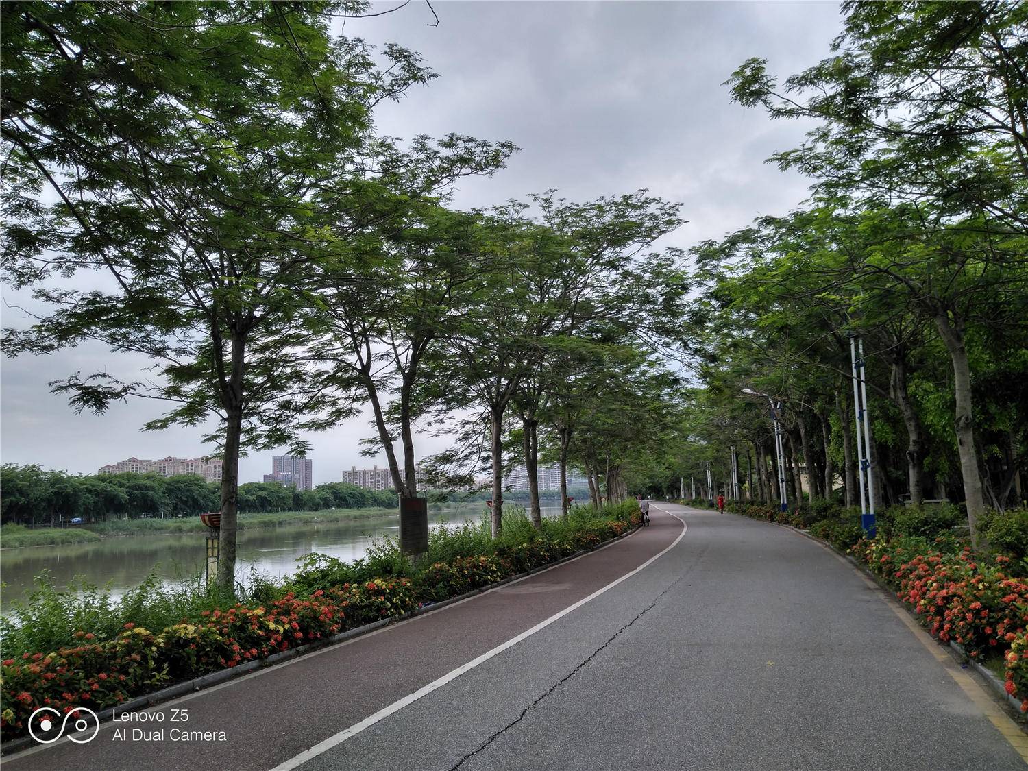 联想z5评价,联想z5发布十代旗舰