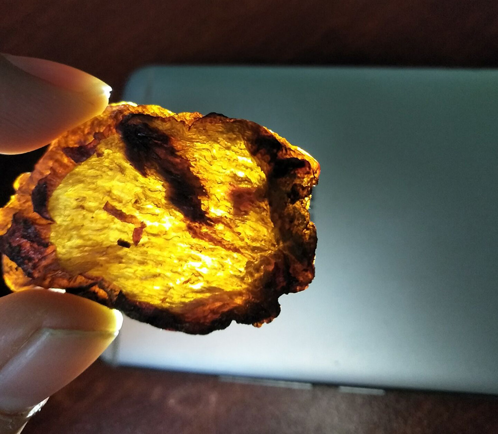 苍术肉苁蓉功效,肉苁蓉对男人的功效与作用