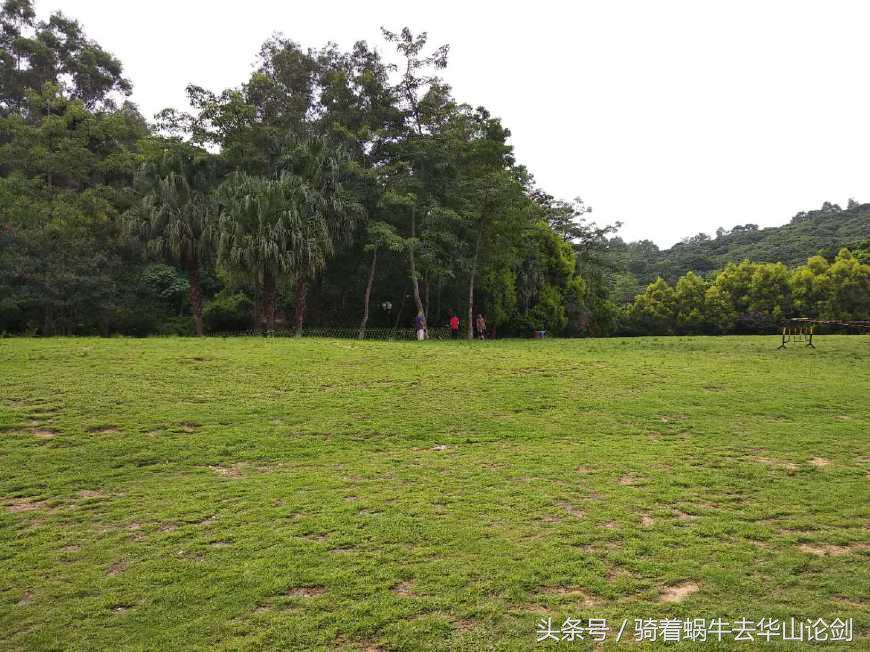 第一次去深圳感觉到了未来,深圳宝安公园一日游攻略