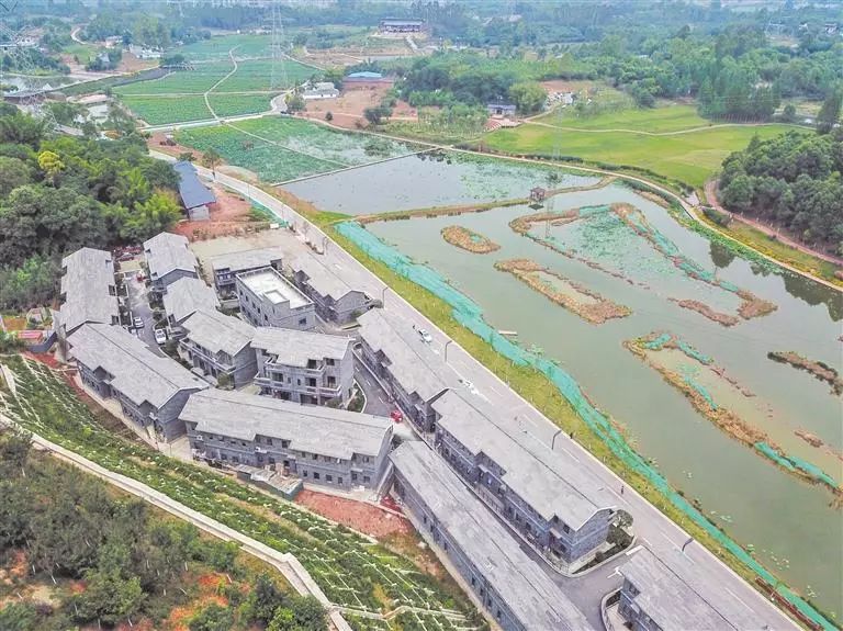 天府新区农村改造,成都天府新区乡村