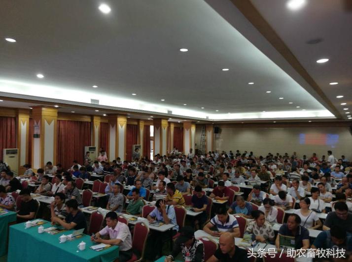 快速解决你养殖场的环保问题,低成本养殖场粪便处理