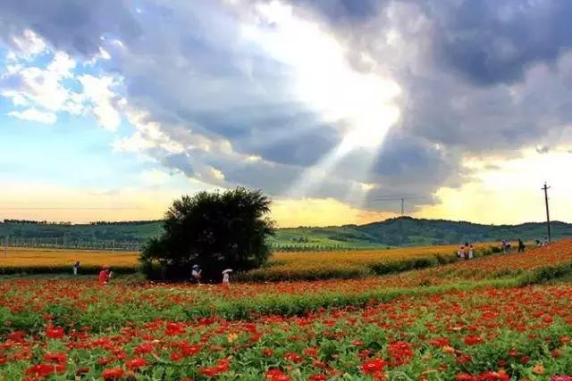 避暑攻略｜长春周边最美的8座山，最远不超过2小时，一起去登高！