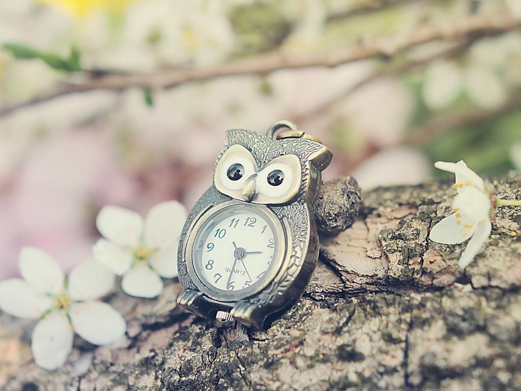 女性晾晒内衣的讲究,内衣晾晒的正确方法