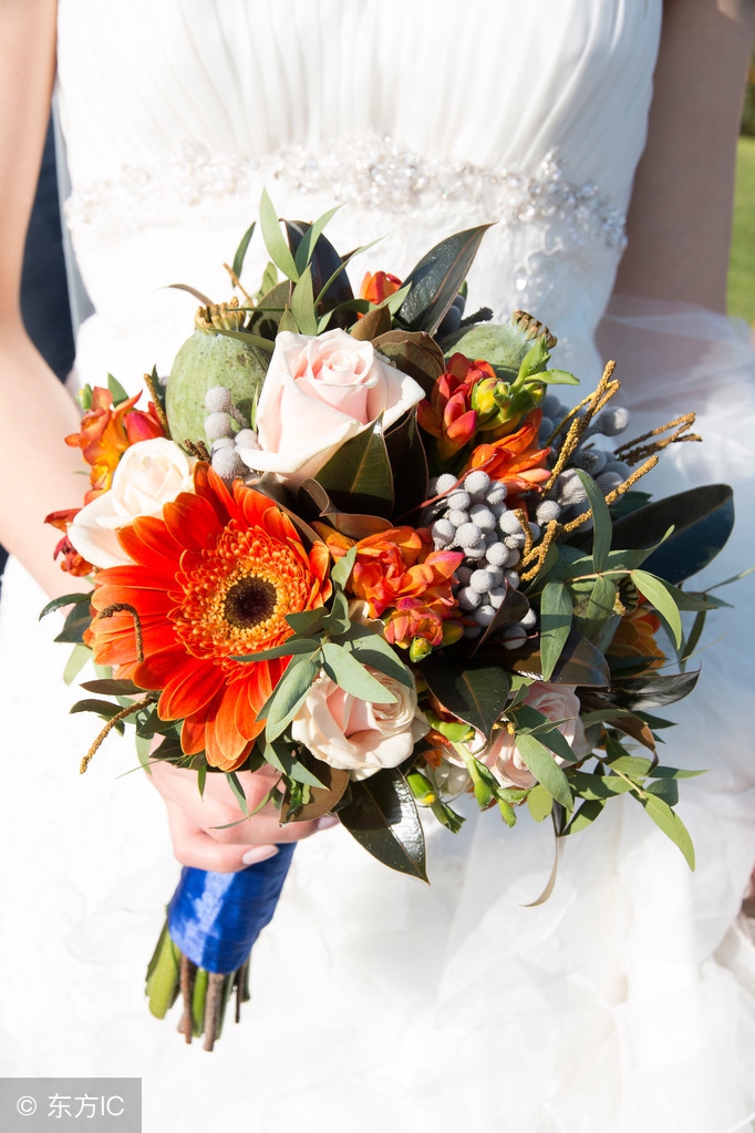 北师版初一下英语语法知识点总结,七年级下册英语重点短语句型归纳