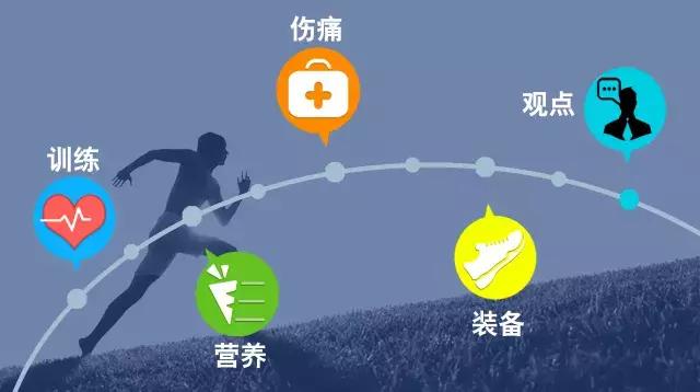 2018世界杯视频助理裁判,女足世界杯视频助理裁判