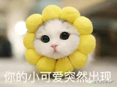 迪拜房地产投资攻略,迪拜最大房地产投资