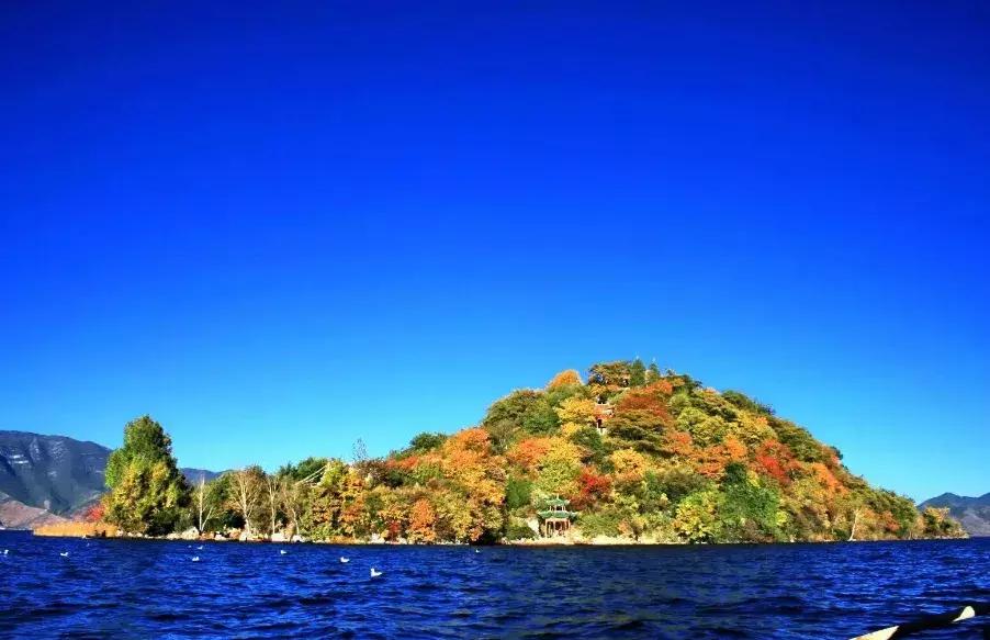 西昌泸沽湖住宿酒店推荐好一点,泸沽湖自由行住宿推荐