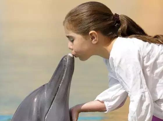 值得去的亲子游,最值得去的亲子度假区