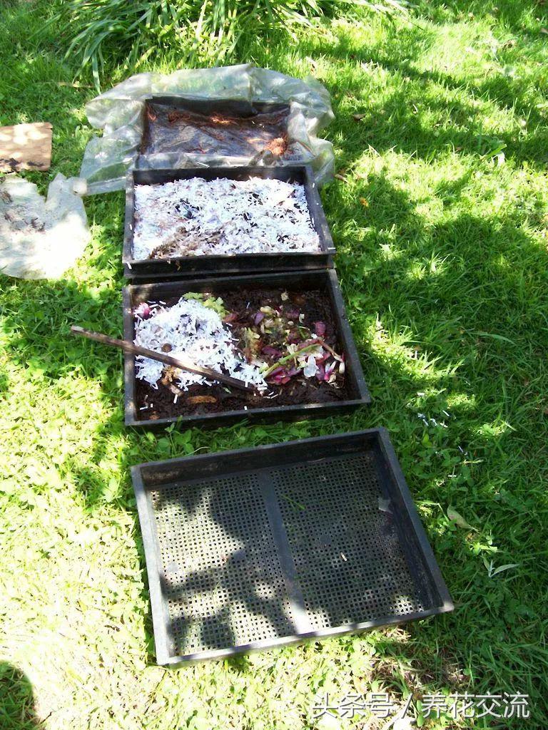 制作有机液肥最好的原料,自制有机液肥的制作方法
