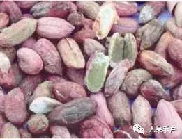 黄曲霉毒素真的有这么可怕吗,黄曲霉素的特点