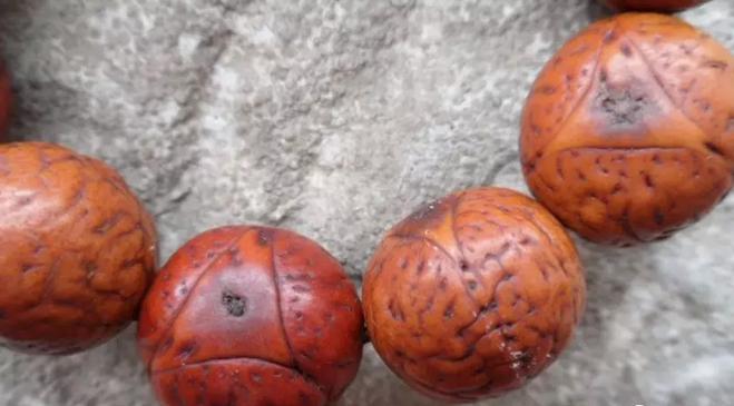 手串越盘越值钱吗,手串有升值空间吗