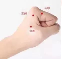 人体八大黄金穴,人体九大系统对应的器官