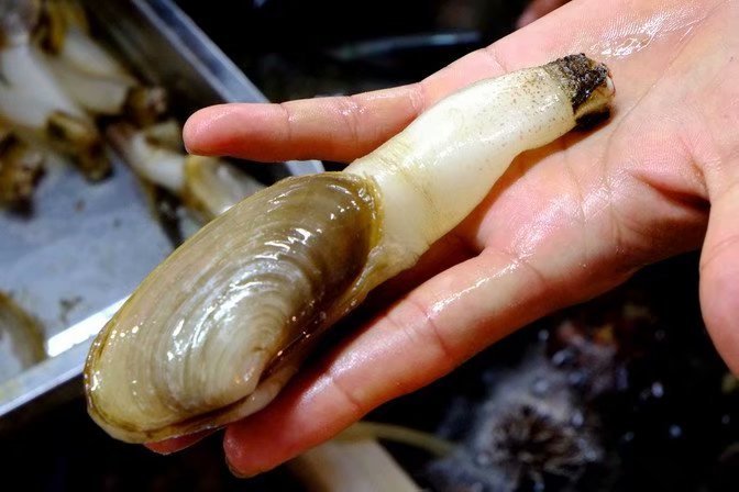 我们的爱在三亚那片海上升温升华