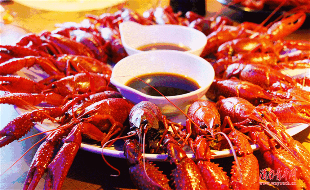 世界杯球赛啤酒节,激情世界杯