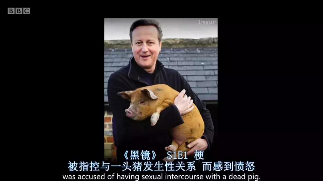 人类未来都不用吃肉吗,素食主义会取代肉食吗