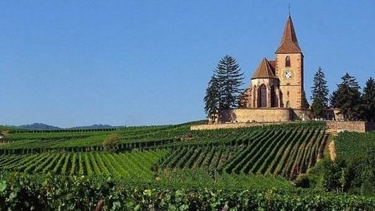 世界杯为何冠军都是足球大国,足球强国为什么都是发达国家