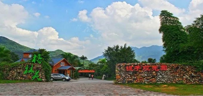 总有一款适合你春耕备耕进行中,现代农业案例分享