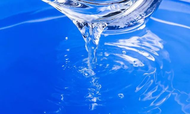 硝化细菌可以养鱼缸吗,开缸不加硝化细菌照样能养鱼