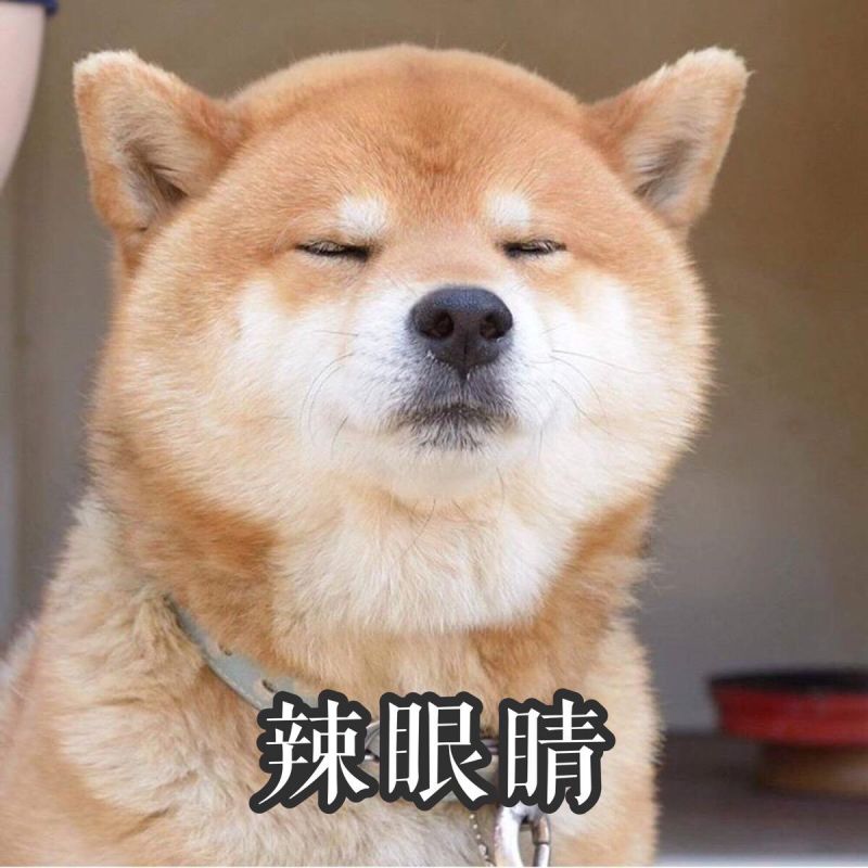 狗狗发情期征兆及正确处理方式