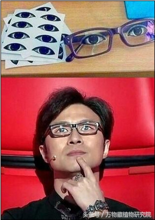 涓栫晫鏉樋鏍瑰环鐗╄祫,涓栫晫鏉壒鏁堣嵂