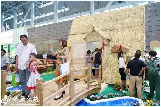 从垃圾里捡的东西变废为宝,从废物到宝物