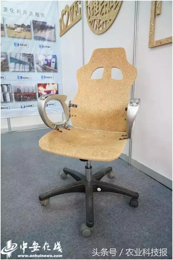 从垃圾里捡的东西变废为宝,从废物到宝物