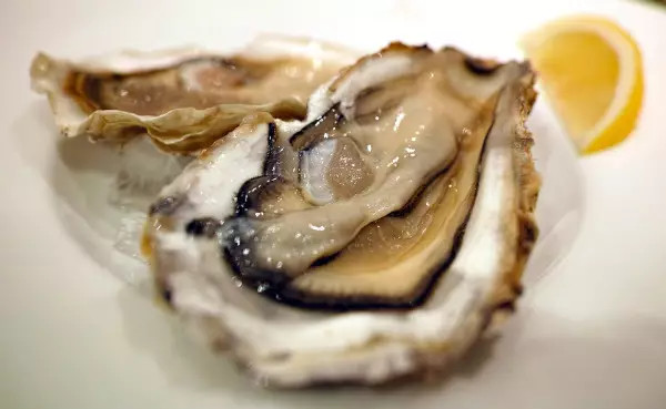 世界杯决赛潘帕斯雄鹰高卢,格子军团vs潘帕斯雄鹰复仇之刃