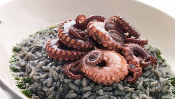 世界杯决赛潘帕斯雄鹰高卢,格子军团vs潘帕斯雄鹰复仇之刃