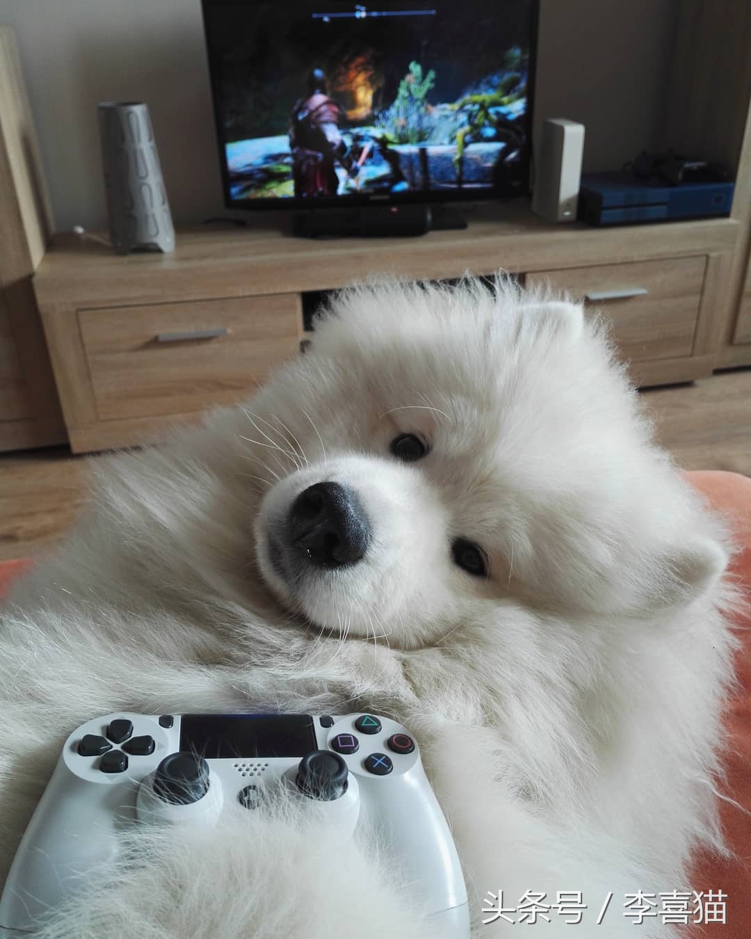 明明可以靠颜值吃饭却偏偏靠力气,明明可以靠颜值吃饭偏偏靠嘴巴