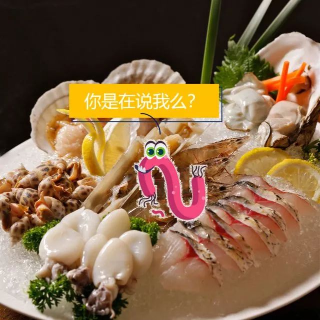 不容错过精彩集锦,不容错过的精彩欣赏