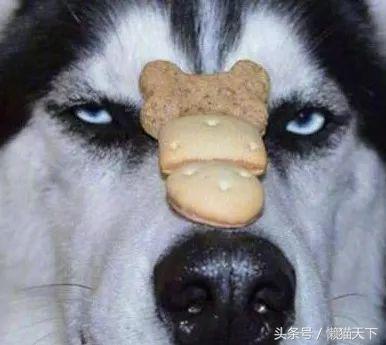 痘肌终结者视频,痘痘终结者