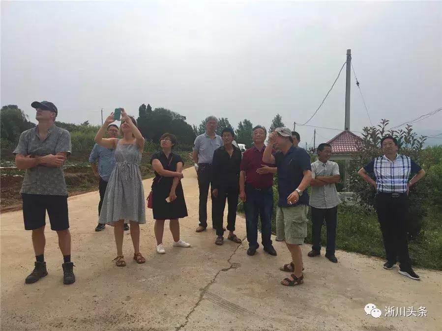 淅川来了仨“老外”，干啥？