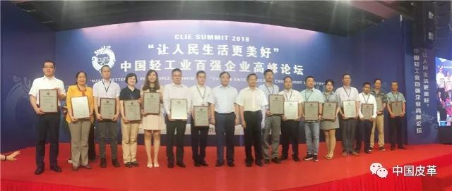 中国轻工业百强企业名单2016,轻工百强企业