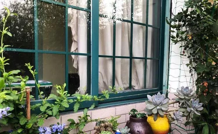 香香的花园自拍杆,香香的花围墙推荐