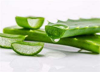 在野外被蚊子叮了能涂唾液止痒吗,宝宝眼睛让蚊子叮了怎么消肿止痒