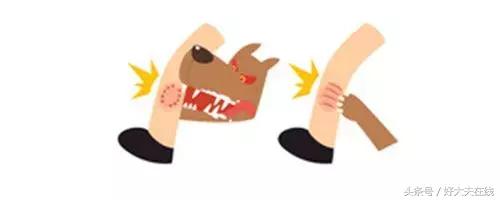 狂犬病致死率100%如何判断,狂犬病致死率为啥是99.99%