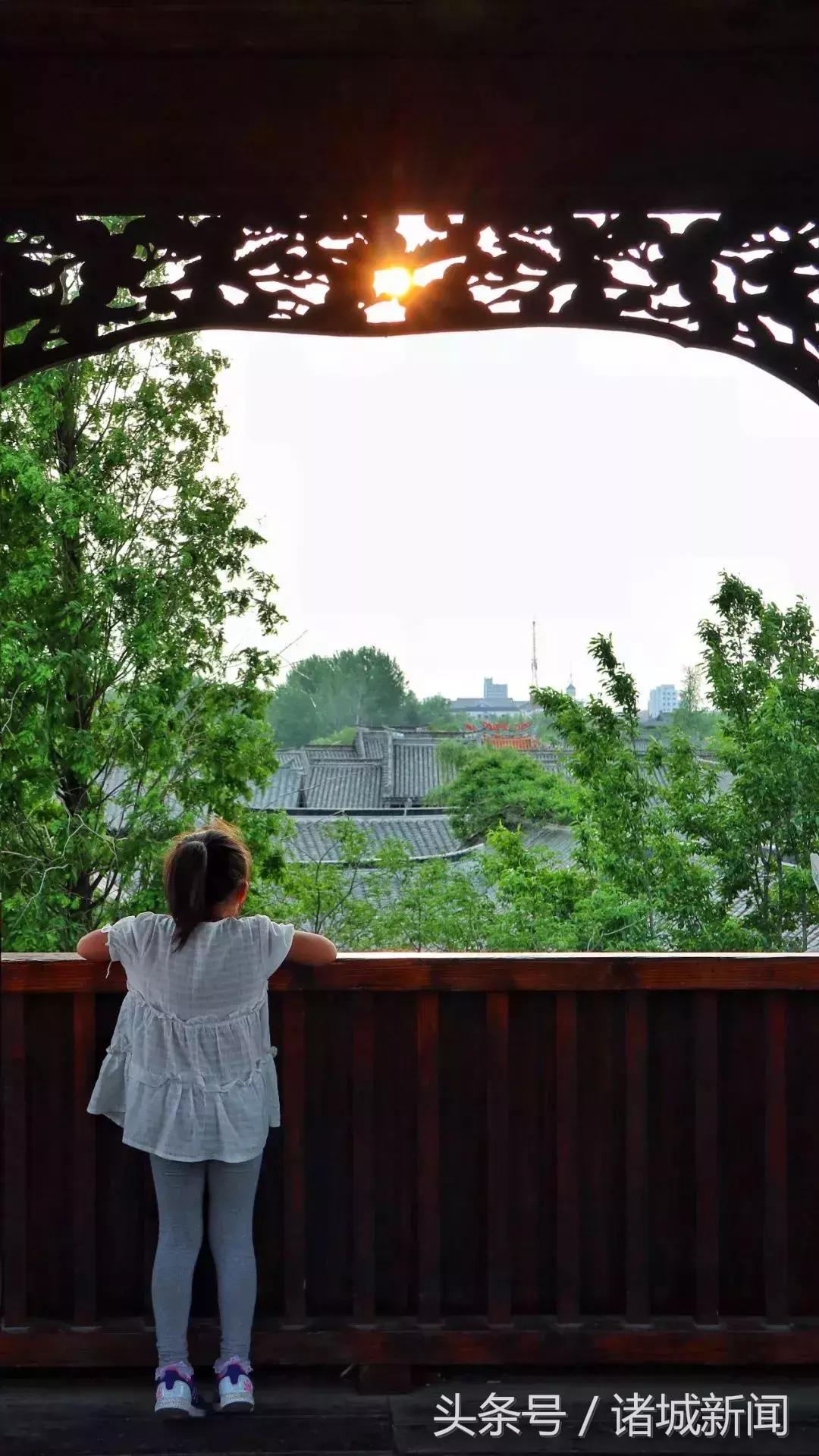 台儿庄古城免费政策包括哪些,台儿庄古城五区一市免费