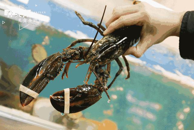 天津看球的五大场所,天津世界杯看球赛的地方