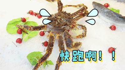 天津看球的五大场所,天津世界杯看球赛的地方