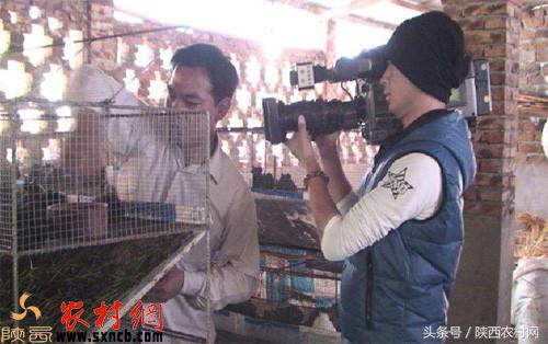 农村人创业的三个秘诀,农村不投资赚钱的项目