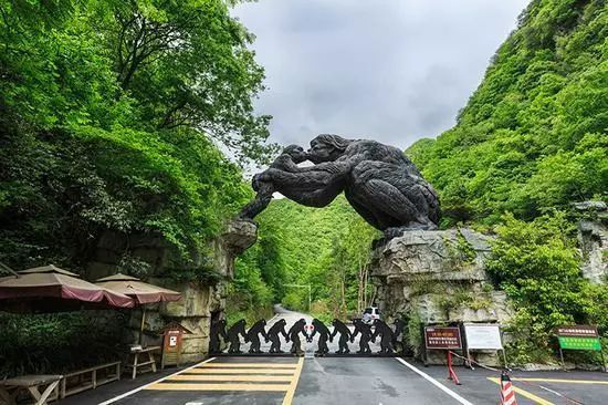 最美县域榜单2021,2020甘肃最美县域榜单