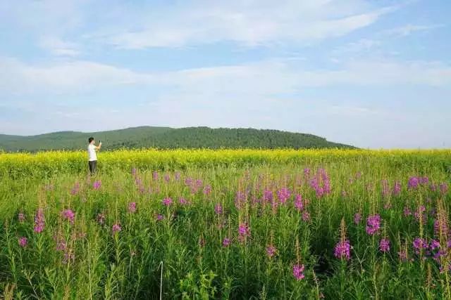 北京至内蒙古旅游坐什么火车,北京去内蒙古高铁旅游线路