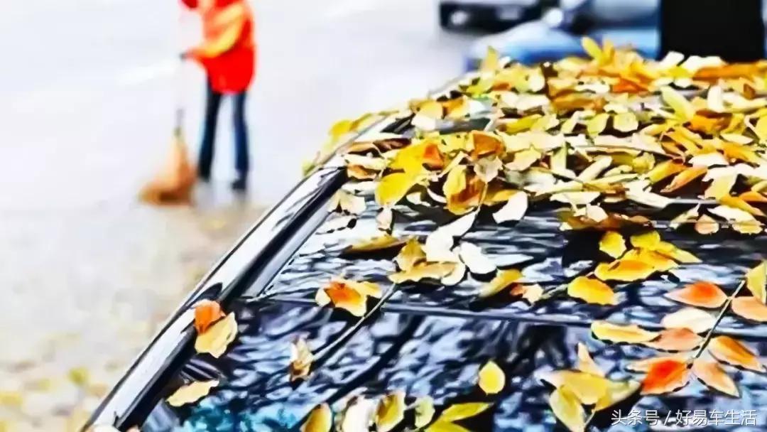 烈日车停在树下,烈日下暴晒车会怎么样