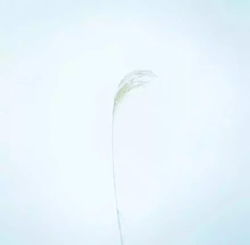 把对某人的感情当成是投资，是可怕的