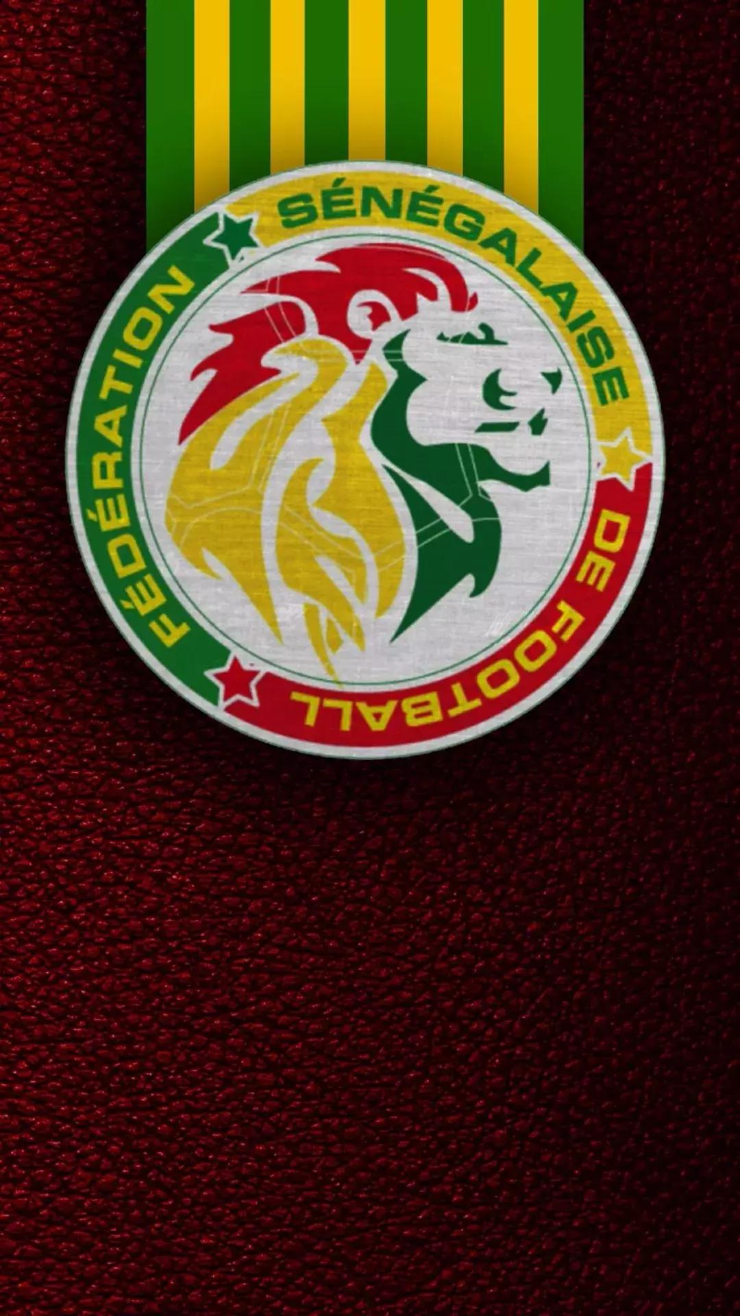 2022世界杯各球队壁纸,世界各国足球队徽壁纸