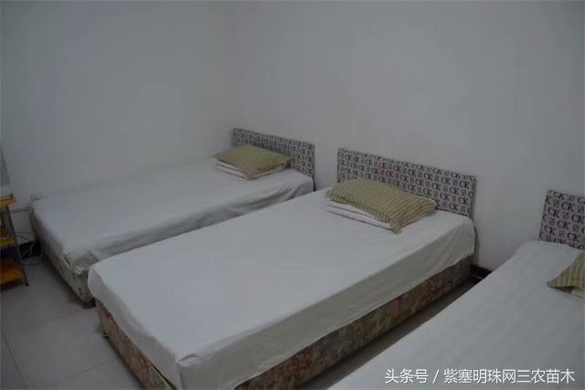 南戴河*哥涛**农家院（成杰宾馆）云烟天外黄金缕，渔火滩头绿酒家！