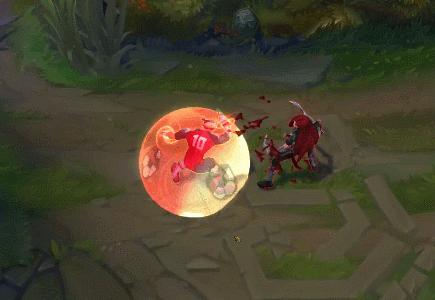 金靴李青,金靴李青多少钱