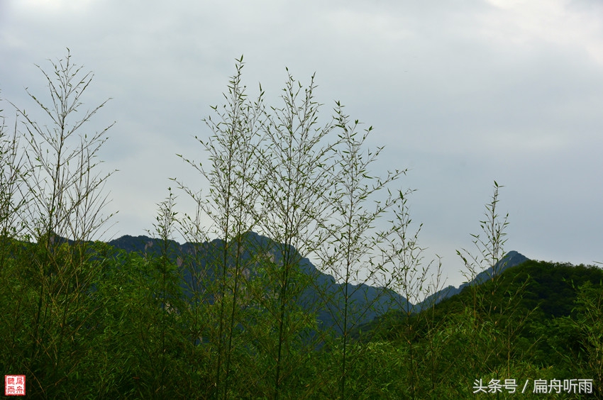 洛阳神灵寨住宿,洛阳神灵寨旅游预约时间